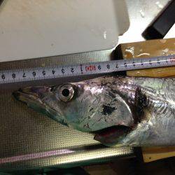 また引き釣りでドラゴン